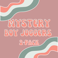 Load image into Gallery viewer, Mystery Boy Joggers- 2 Pack
