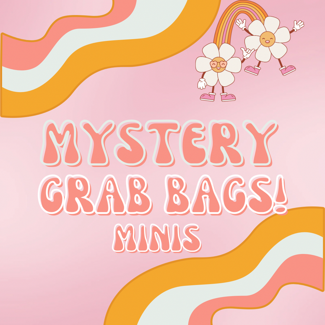Mini Mystery Bags